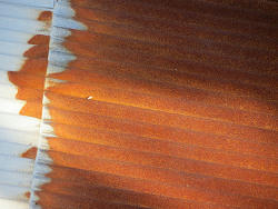 resize4311.jpg