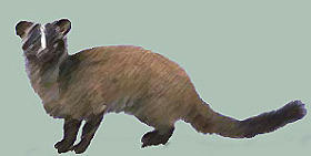 resize4341.jpg