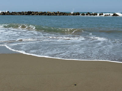 resize4458.jpg