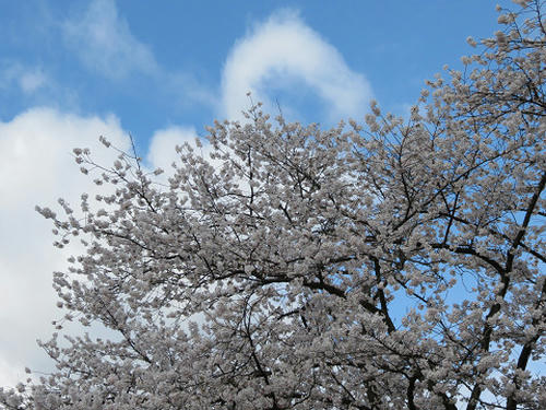 resize4571.jpg