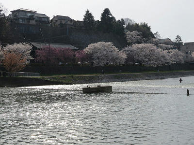 resize4625.jpg
