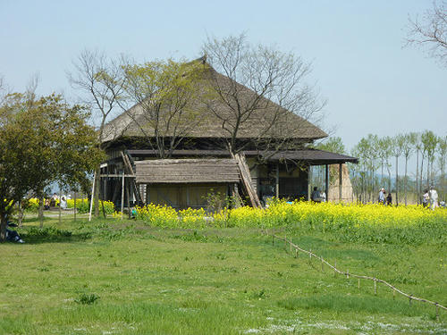 resize4923.jpg