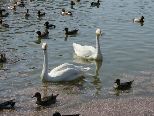 resize4914.jpg