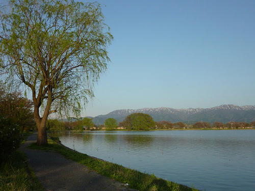 resize4936.jpg