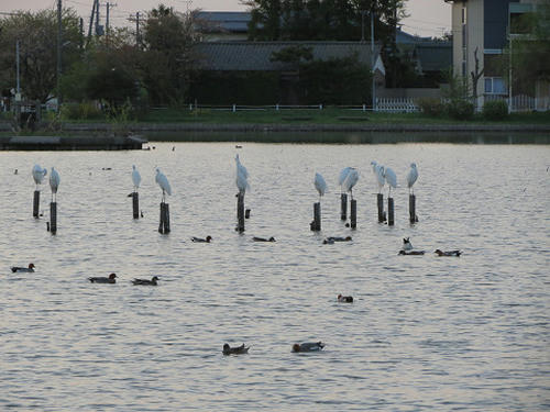 resize4994.jpg
