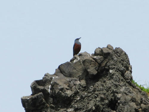 resize5077.jpg