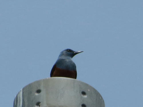 resize5093.jpg