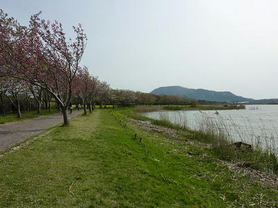 resize5144.jpg
