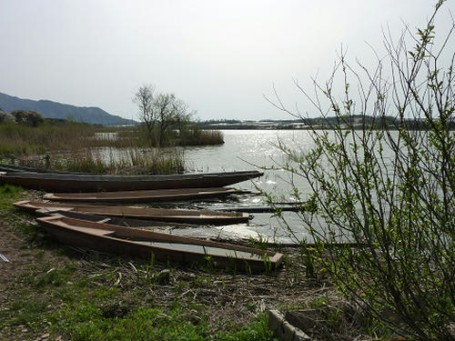resize5154.jpg