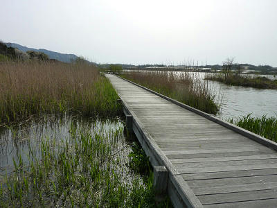 resize5145.jpg