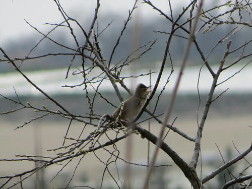 resize5148.jpg