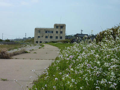 resize5173.jpg