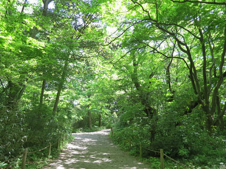 resize5249.jpg