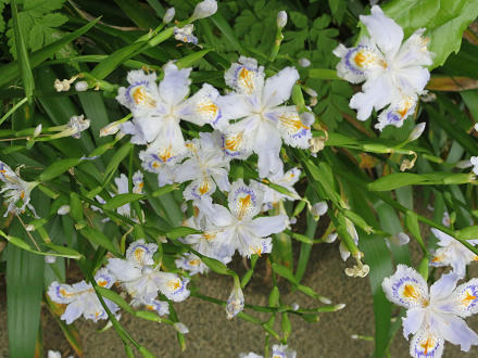 resize5260.jpg