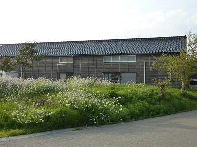 resize5180.jpg