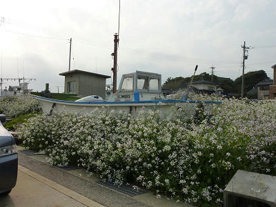 resize5178.jpg
