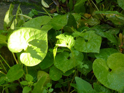 resize5433.jpg