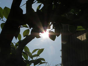 resize5457.jpg