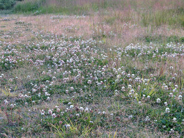 resize5551.jpg