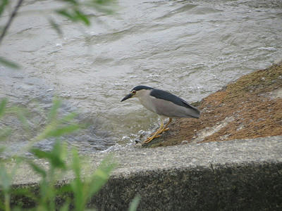resize5696.jpg