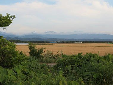 resize5812.jpg