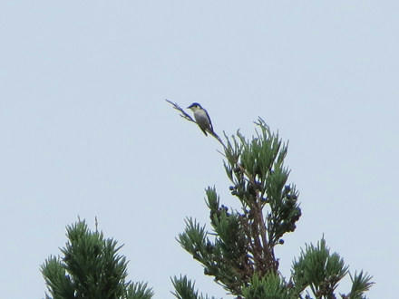 resize5840.jpg
