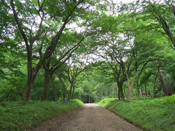 resize5839.jpg