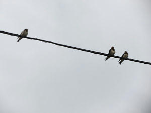 resize5845.jpg