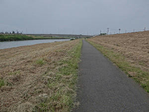 resize5937.jpg