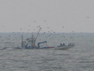 resize5956.jpg