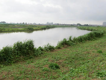 resize5961.jpg