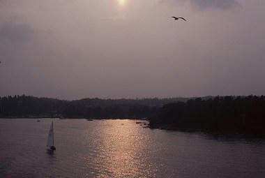 resize6195.jpg