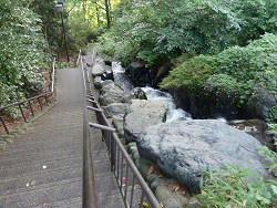 resize6211.jpg