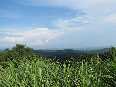 resize6342.jpg