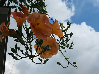 resize6422.jpg