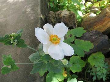 resize6553.jpg