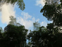 resize6731.jpg