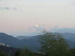 resize6732.jpg