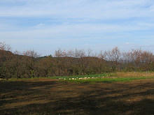 resize6761.jpg