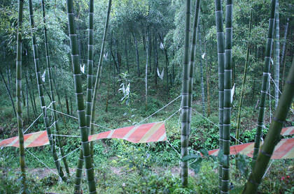 resize6765.jpg