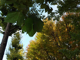 resize6835.jpg