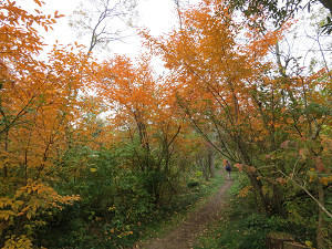 resize6848.jpg