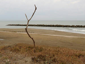 resize6853.jpg