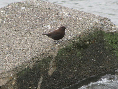 resize6908.jpg
