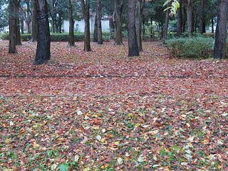 resize6914.jpg