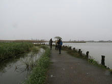resize7010.jpg