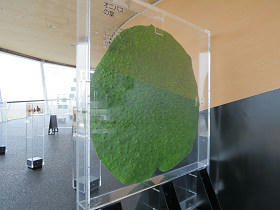 resize7011.jpg