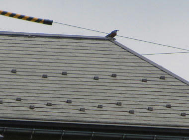 resize7230.jpg