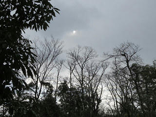 resize7322.jpg