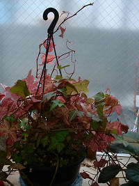 resize7430.jpg